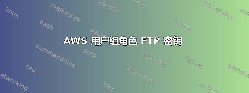 AWS 用户组角色 FTP 密钥