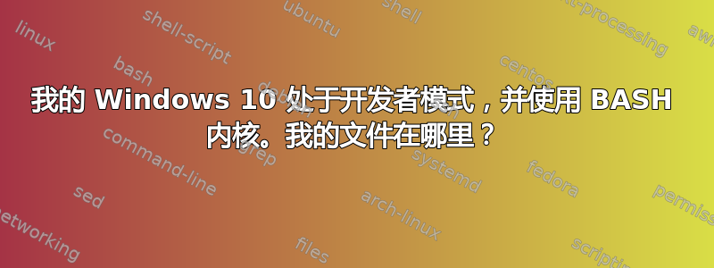 我的 Windows 10 处于开发者模式，并使用 BASH 内核。我的文件在哪里？