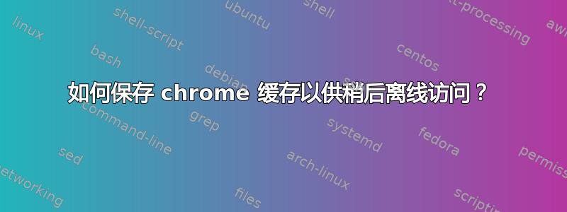 如何保存 chrome 缓存以供稍后离线访问？