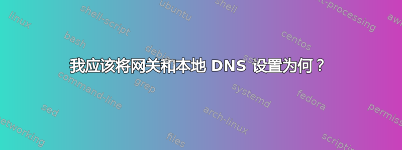 我应该将网关和本地 DNS 设置为何？