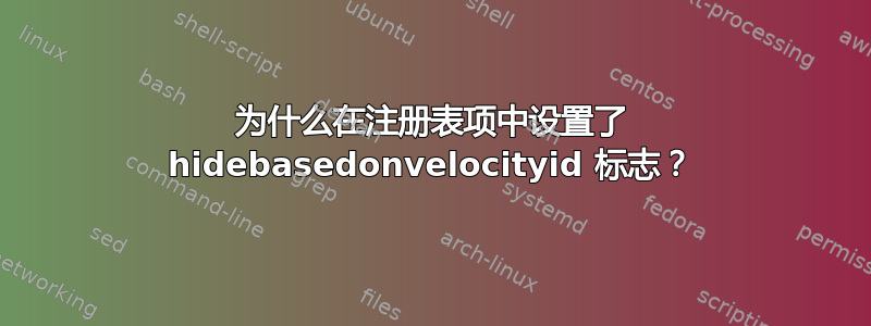 为什么在注册表项中设置了 hidebasedonvelocityid 标志？