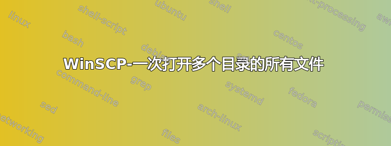 WinSCP-一次打开多个目录的所有文件