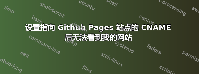 设置指向 Github Pages 站点的 CNAME 后无法看到我的网站