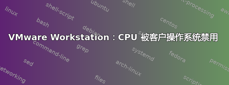 VMware Workstation：CPU 被客户操作系统禁用