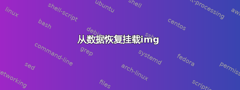 从数据恢复挂载img