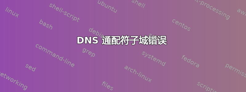 DNS 通配符子域错误