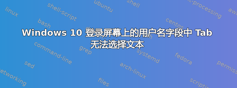 Windows 10 登录屏幕上的用户名字段中 Tab 无法选择文本