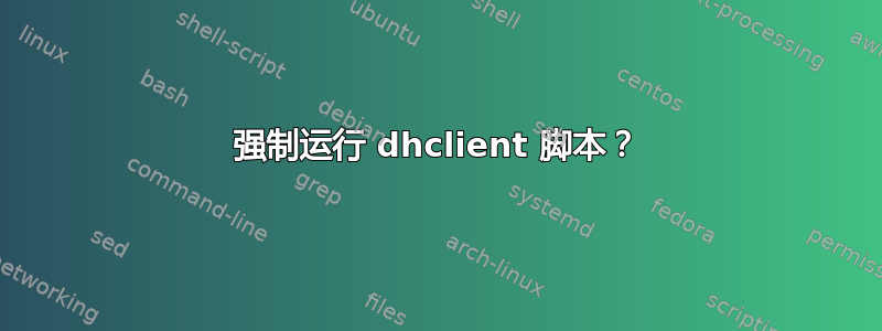 强制运行 dhclient 脚本？