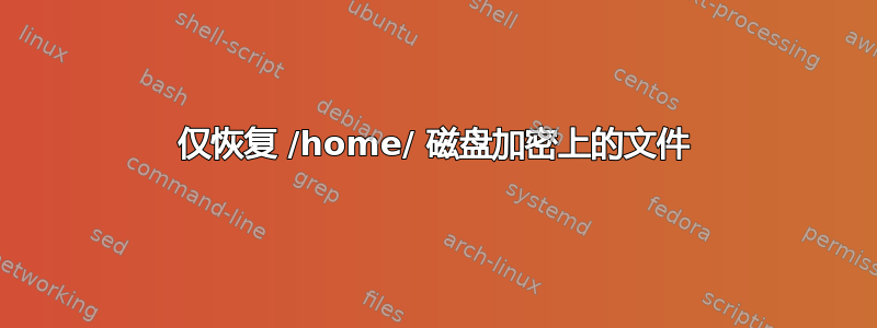 仅恢复 /home/ 磁盘加密上的文件