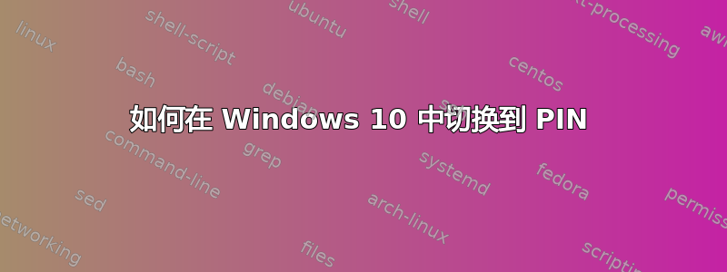 如何在 Windows 10 中切换到 PIN