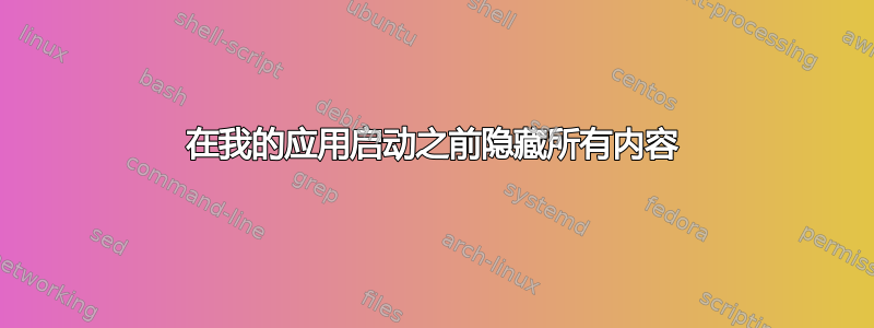 在我的应用启动之前隐藏所有内容