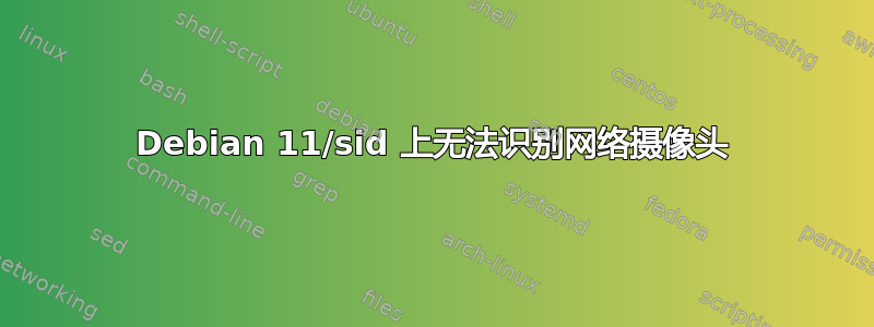 Debian 11/sid 上无法识别网络摄像头