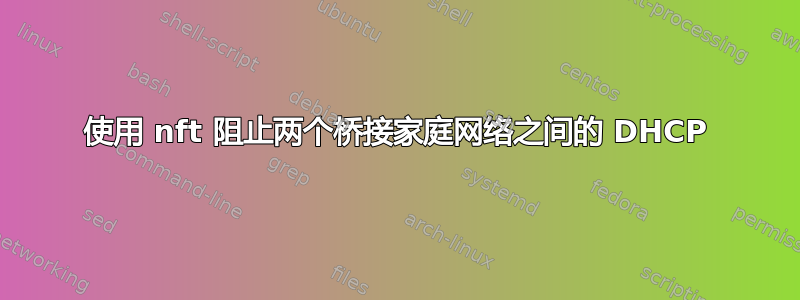 使用 nft 阻止两个桥接家庭网络之间的 DHCP