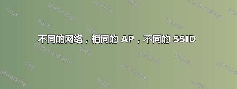 不同的网络，相同的 AP，不同的 SSID