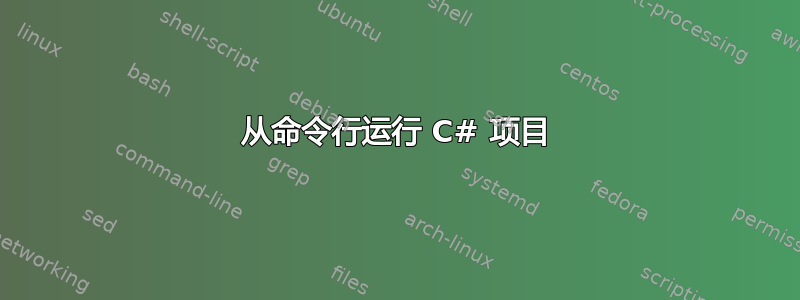 从命令行运行 C# 项目