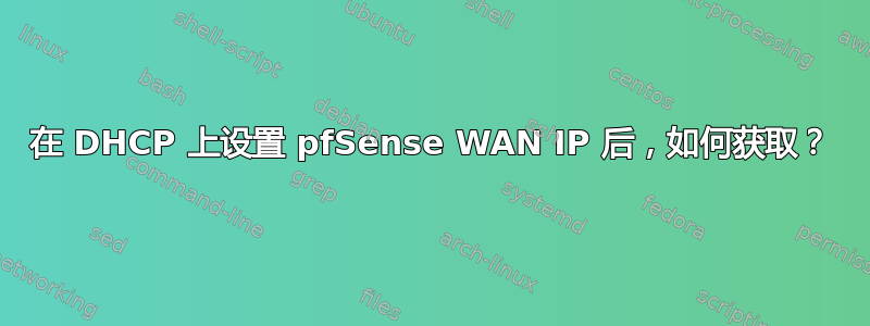 在 DHCP 上设置 pfSense WAN IP 后，如何获取？