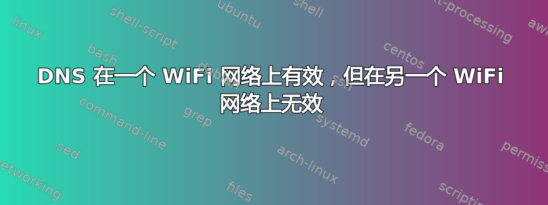 DNS 在一个 WiFi 网络上有效，但在另一个 WiFi 网络上无效