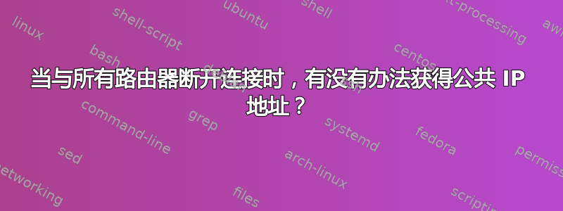 当与所有路由器断开连接时，有没有办法获得公共 IP 地址？