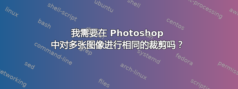 我需要在 Photoshop 中对多张图像进行相同的裁剪吗？