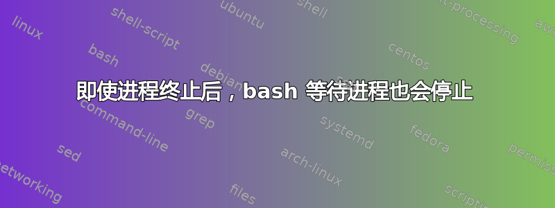 即使进程终止后，bash 等待进程也会停止