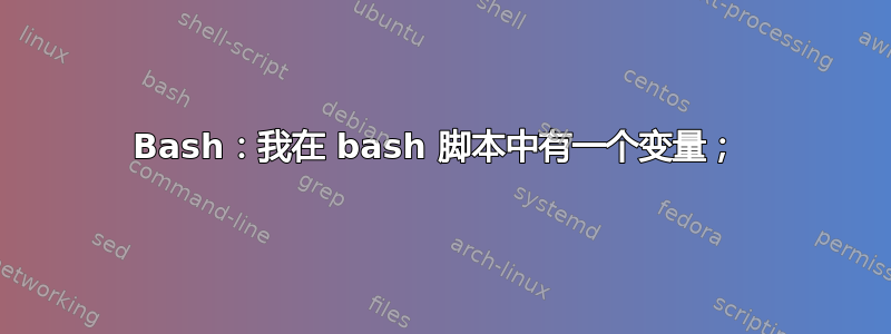 Bash：我在 bash 脚本中有一个变量； 