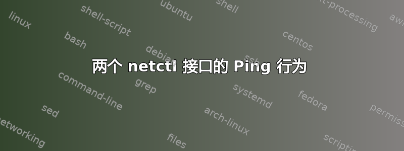 两个 netctl 接口的 Ping 行为