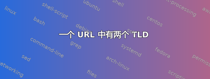 一个 URL 中有两个 TLD