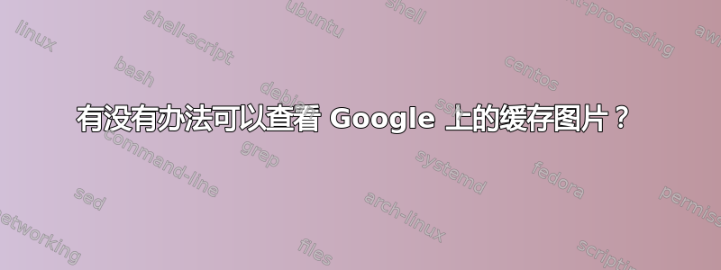 有没有办法可以查看 Google 上的缓存图片？