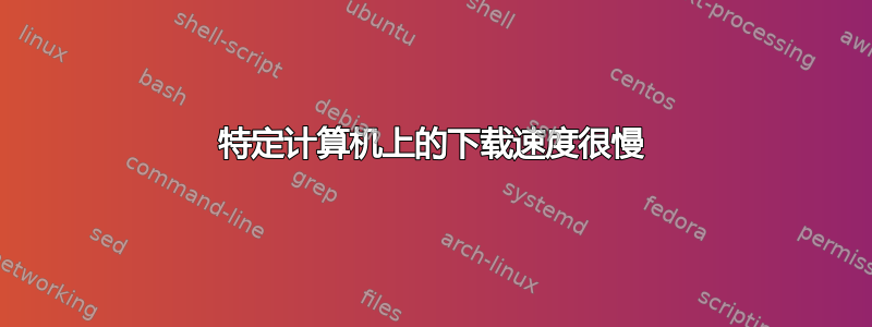 特定计算机上的下载速度很慢