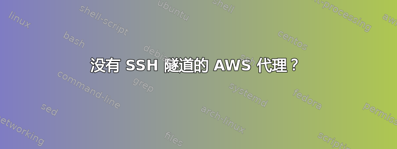 没有 SSH 隧道的 AWS 代理？