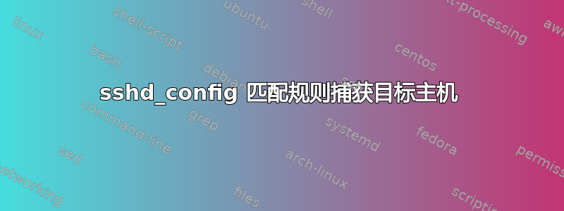 sshd_config 匹配规则捕获目标主机