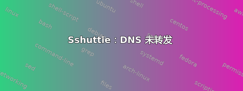 Sshuttle：DNS 未转发