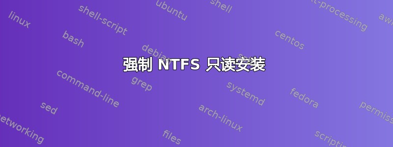 强制 NTFS 只读安装