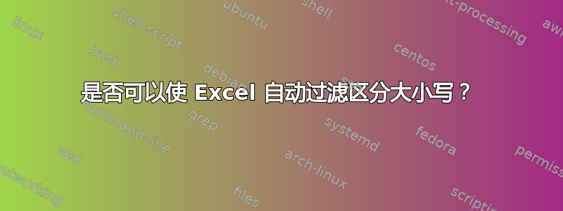 是否可以使 Excel 自动过滤区分大小写？