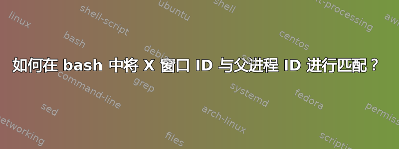 如何在 bash 中将 X 窗口 ID 与父进程 ID 进行匹配？