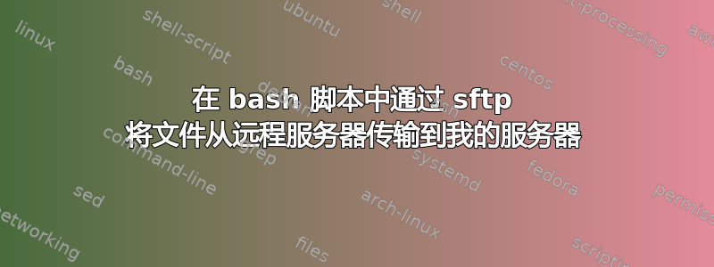 在 bash 脚本中通过 sftp 将文件从远程服务器传输到我的服务器