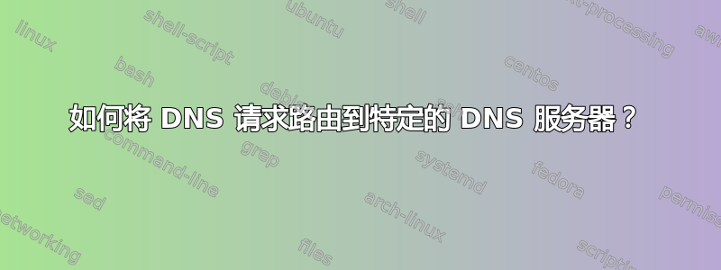 如何将 DNS 请求路由到特定的 DNS 服务器？