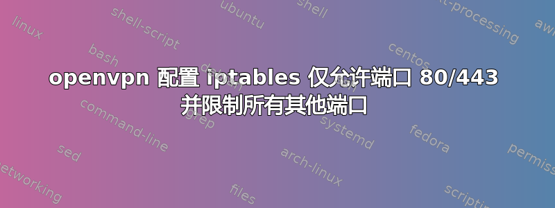 openvpn 配置 iptables 仅允许端口 80/443 并限制所有其他端口