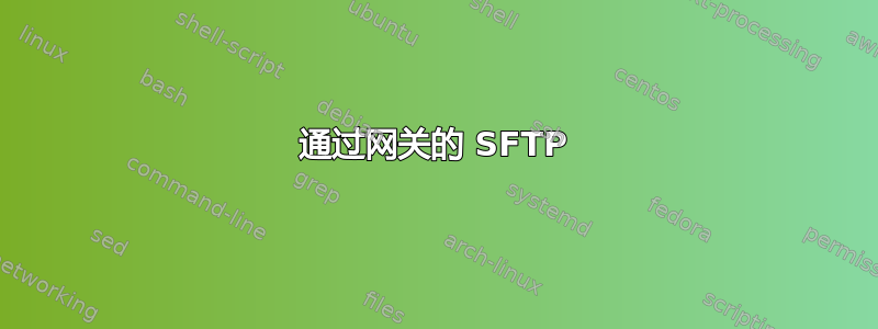 通过网关的 SFTP