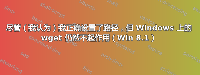 尽管（我认为）我正确设置了路径，但 Windows 上的 wget 仍然不起作用（Win 8.1）