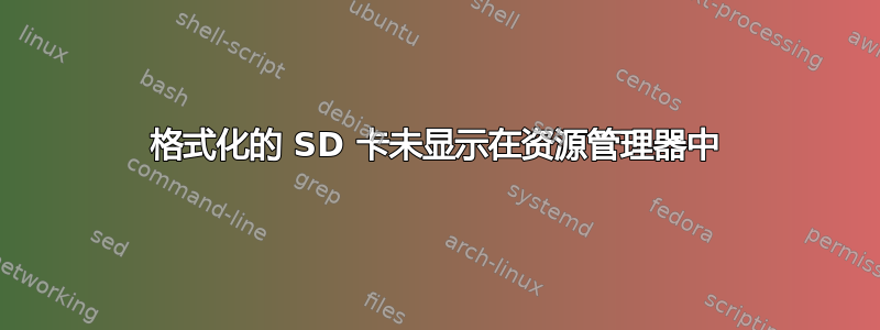 格式化的 SD 卡未显示在资源管理器中