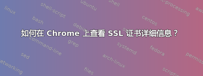 如何在 Chrome 上查看 SSL 证书详细信息？