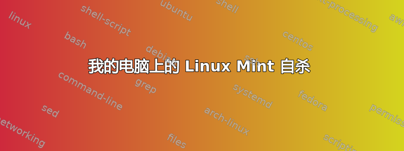 我的电脑上的 Linux Mint 自杀