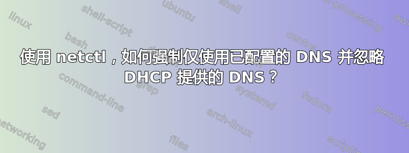 使用 netctl，如何强制仅使用已配置的 DNS 并忽略 DHCP 提供的 DNS？