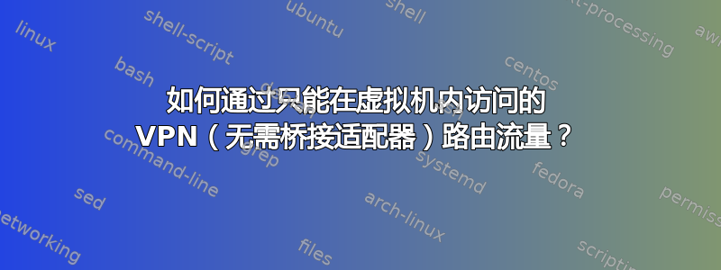 如何通过只能在虚拟机内访问的 VPN（无需桥接适配器）路由流量？