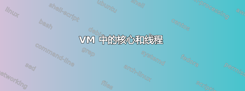 VM 中的核心和线程