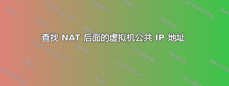 查找 NAT 后面的虚拟机公共 IP 地址