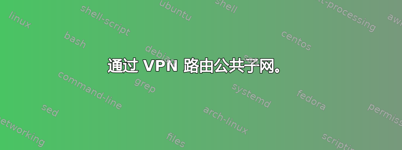 通过 VPN 路由公共子网。