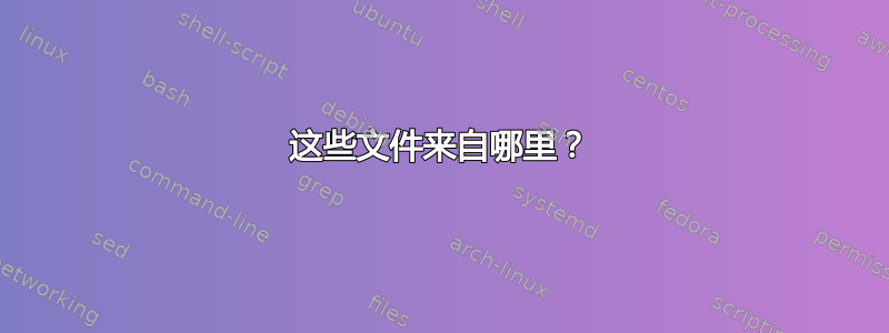 这些文件来自哪里？