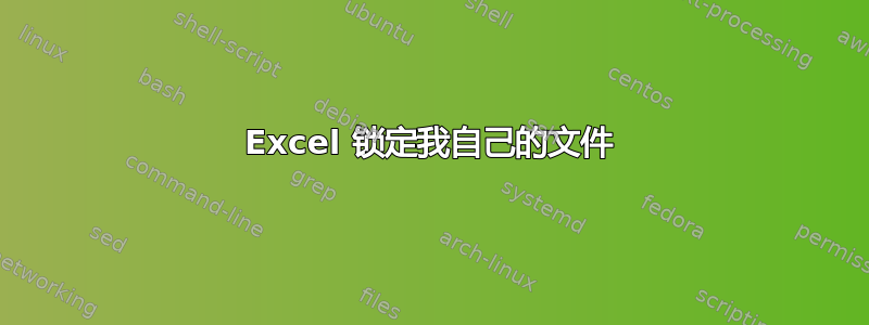 Excel 锁定我自己的文件